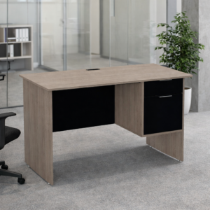 Escritorio con Papelera y Archivo Derecho 120 x 60 cm (Ceniza)