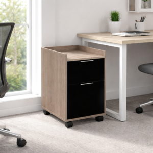 Archivero Móvil Con 1 Archivo Y 1 Papelera (Ceniza)