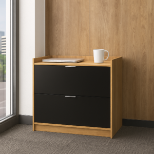 Archivero Horizontal Fijo con 2 gavetas y 1 entrepaño (Monarca)