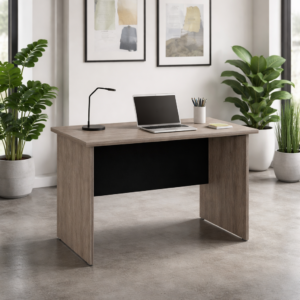 Escritorio sencillo 100 x 60 cm (Ceniza)